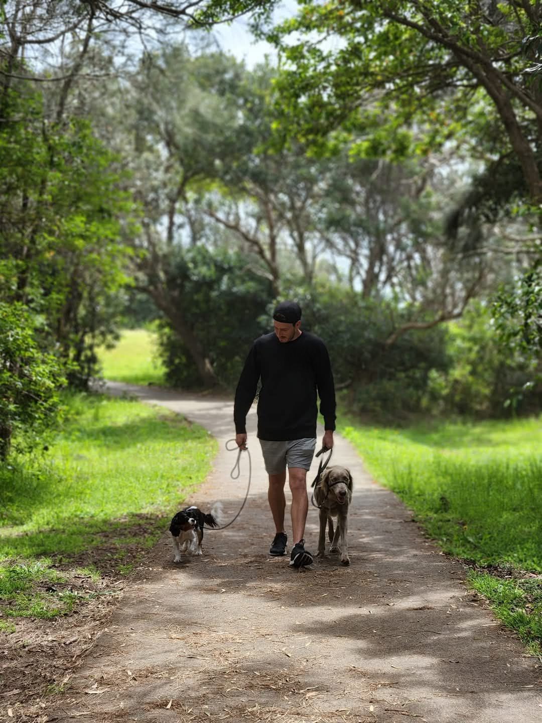 meet-martin-farmers-dog-training-walking